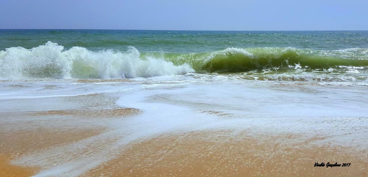 Shinning Waves Apartment Armação de Pêra Eksteriør billede